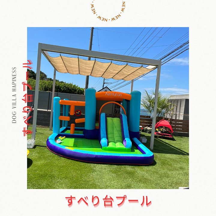 2023年夏わんこプール始めました。わんこ用すべり台プール。