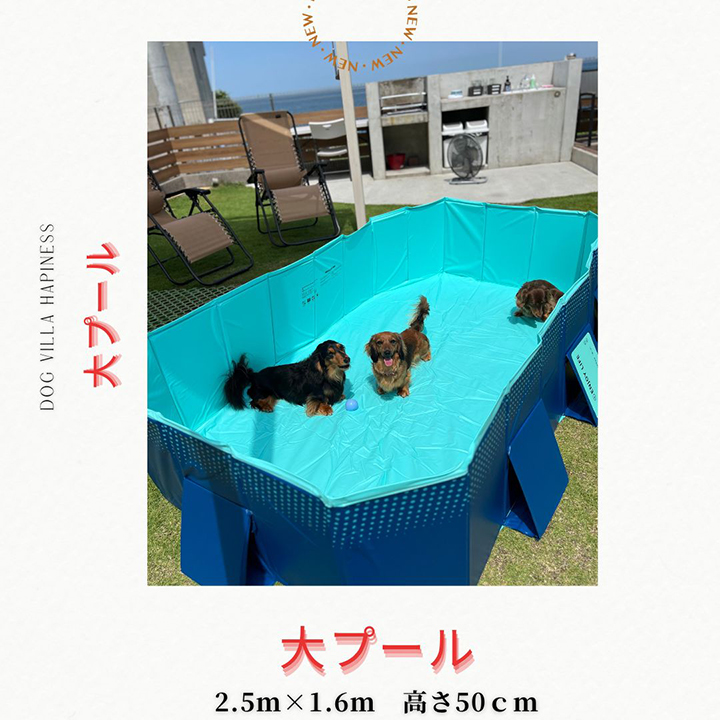 2023年夏わんこ用大プール